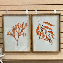Load image into Gallery viewer, Orange Coral Art II
