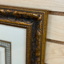 Load image into Gallery viewer, Syd Edwards Parrot Art
