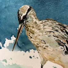 Load image into Gallery viewer, Sandpiper Framed in White
