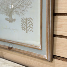 Load image into Gallery viewer, Beige Coral Art I
