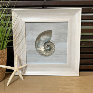 Framed Shell Art II