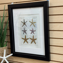 Load image into Gallery viewer, Starfish Art
