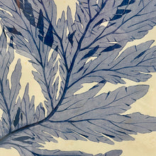 Load image into Gallery viewer, Blue Sea Plant II Art
