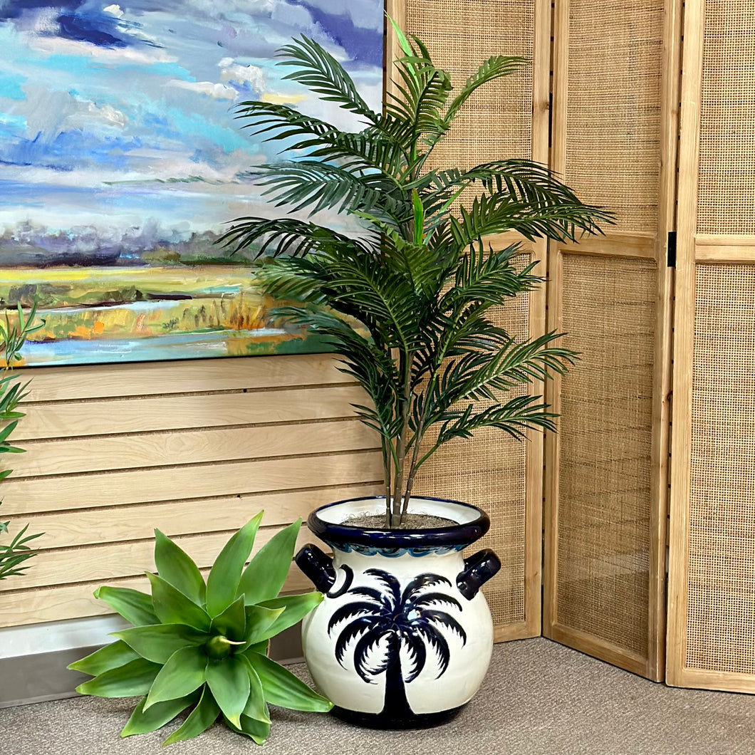 Palm In Pot