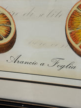 Load image into Gallery viewer, Framed Oranges Art
