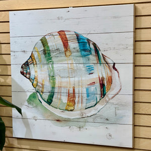 Colorful Shell Canvas I