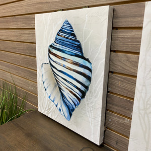 Blue Shell Canvas I