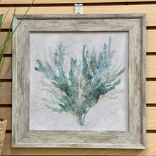 Load image into Gallery viewer, Teal Sea Fan II
