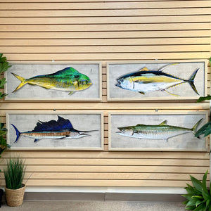 Framed Dolphin Fish Art