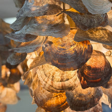 Load image into Gallery viewer, Currey &amp; Co 'Cruselle' Pendant
