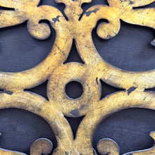 Load image into Gallery viewer, Gold Medallion I Art
