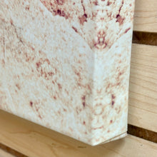 Load image into Gallery viewer, Beach Pathway Canvas Art
