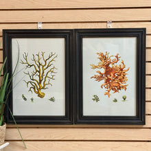Load image into Gallery viewer, Framed Coral Art II
