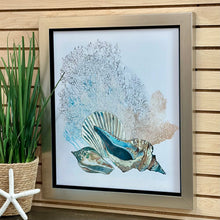 Load image into Gallery viewer, Shell Grouping II
