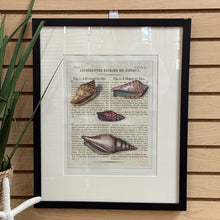 Load image into Gallery viewer, Shell II Art
