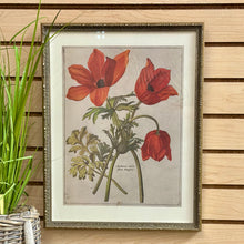 Load image into Gallery viewer, Silver Framed Botanical I
