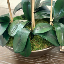 Load image into Gallery viewer, Faux Orchid In Pot
