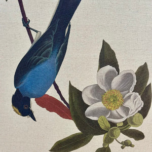 Bird Floral I Art