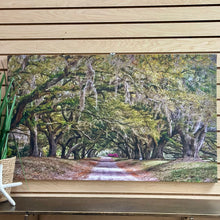Load image into Gallery viewer, Mike Bryand 'Ortons Plantation'
