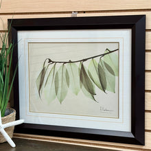 Load image into Gallery viewer, Framed 'Camelia Leaf' Art
