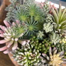 Load image into Gallery viewer, Round Wood Bowl Succulent I
