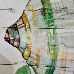Colorful Shell Canvas I