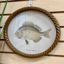 Load image into Gallery viewer, Oval Fish Print I Art
