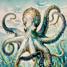 Load image into Gallery viewer, SM Teal Ocotpus I
