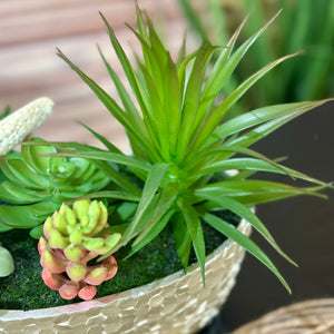 Faux Succulents In Silver
