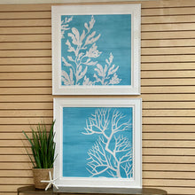 Load image into Gallery viewer, Aqua Sea Plant II
