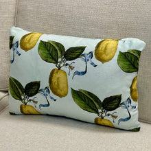 Load image into Gallery viewer, Schumacher 'La Citron' Linen Lumbar
