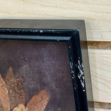 Load image into Gallery viewer, Set/4 Black Framed Botanical Prints

