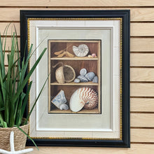 Load image into Gallery viewer, Blk/Gold Framed Shell Art
