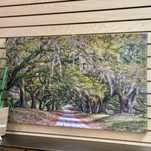Load image into Gallery viewer, Mike Bryand 'Ortons Plantation'
