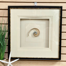 Load image into Gallery viewer, 'Natural Nautilus II' Art
