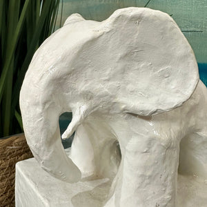 S/2 Elephant Book Ends