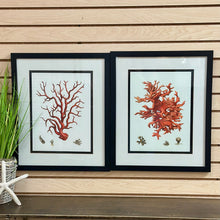 Load image into Gallery viewer, Framed Coral Art II
