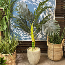Load image into Gallery viewer, Palm In Concrete Pot
