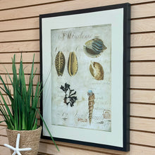 Load image into Gallery viewer, Shells On Canvas I
