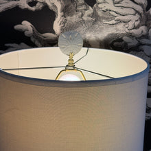 Load image into Gallery viewer, Textured Sand Dollar Lamp

