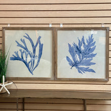 Load image into Gallery viewer, Blue Sea Plant II Art
