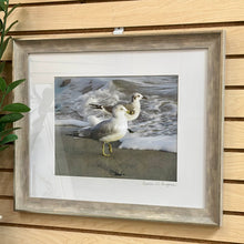 Load image into Gallery viewer, Rebecca Gurganus 'Stepping Out' Photography
