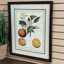 Load image into Gallery viewer, Framed Oranges Art

