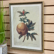 Load image into Gallery viewer, Silver Framed Botanical II
