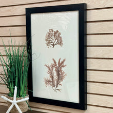 Load image into Gallery viewer, Botanical Print II Art
