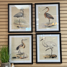 Load image into Gallery viewer, Mocha Framed Heron II
