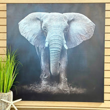 Load image into Gallery viewer, Elephant Canvas
