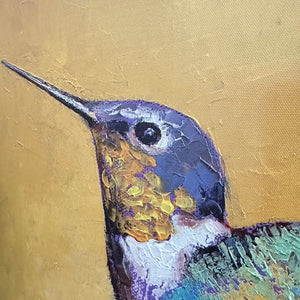 Hummingbird Canvas