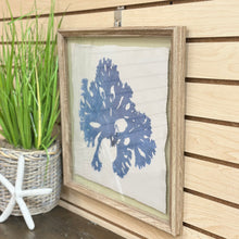 Load image into Gallery viewer, Framed Blue Coral III
