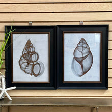 Load image into Gallery viewer, Black Framed Shell Art I
